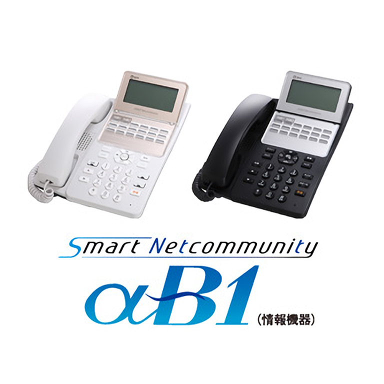 Smart Net Community αB1